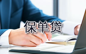 庆阳保单贷