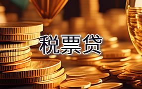 庆阳税票贷